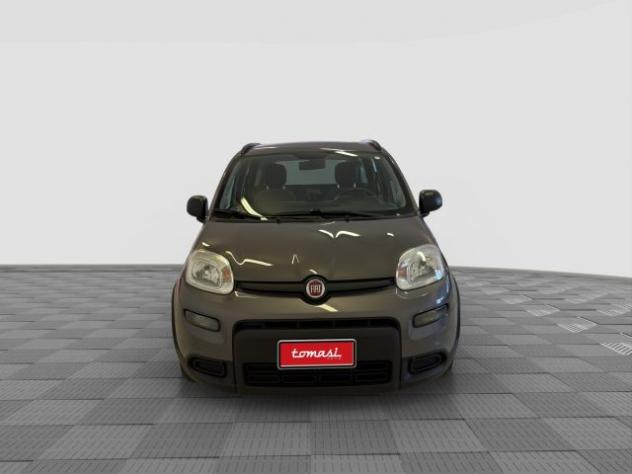 FIAT Panda Panda 1.0 FireFly Hybrid City Life rif. 23696477 - Foto 8