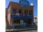 Impredil Immobiliare di Costruzioni