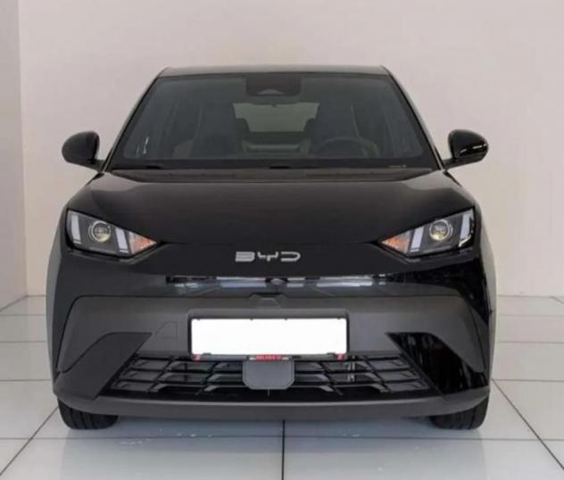 BYD DOLPHIN SURF BOOST 88Ccv Batteria 43.2kwh