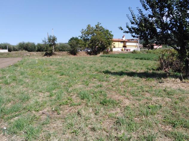 Agricolo in Via della Moletta - Foto 8
