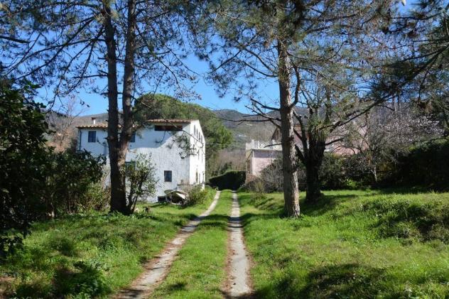 Vendita Rustico casale da 400 mq con giardino - Foto 2