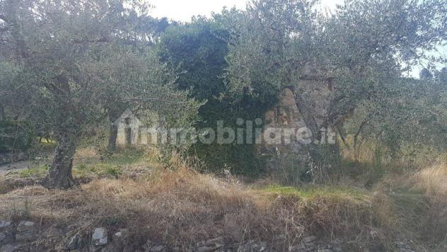 Rustico in vendita a Capannori 20 mq Rif: 1309913 - Foto 5