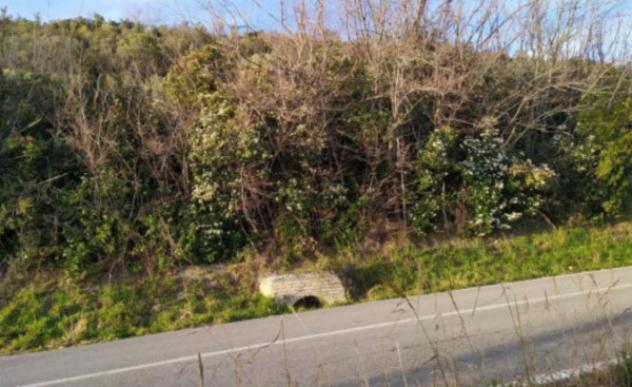 Immobile in asta di 16610 m² in vendita a Fermo - Foto 9