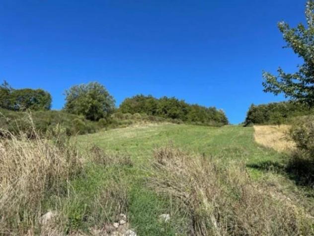 Immobile in asta di 21005 m² in vendita a Gualdo Tadino - Foto 4