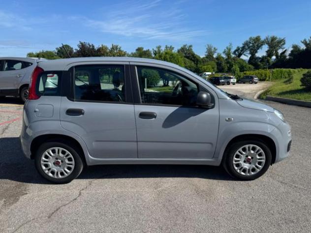 FIAT Panda III 1.0 FireFly 70Cv S&S Hybrid Easy rif. 23724090 - Foto 7