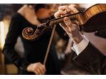 Violinista classica e professionista per matrimoni Aosta