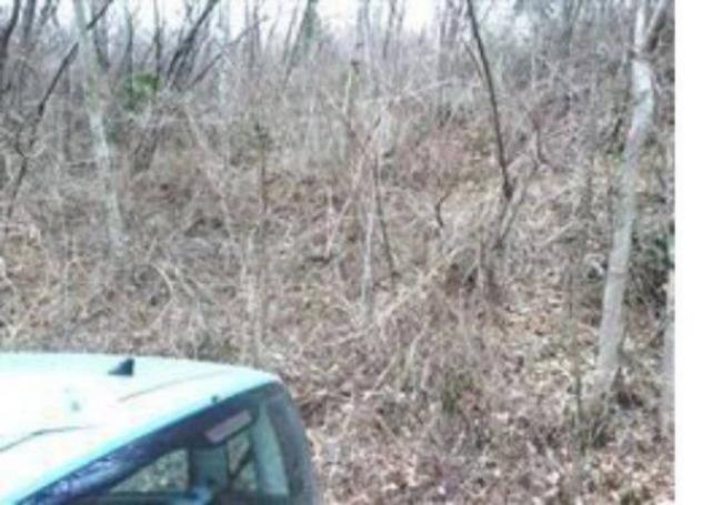 Immobile in asta di 258860 m² in vendita a Attimis - Foto 4