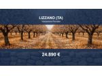 Immobile in asta di 27829 m² in vendita a Lizzano