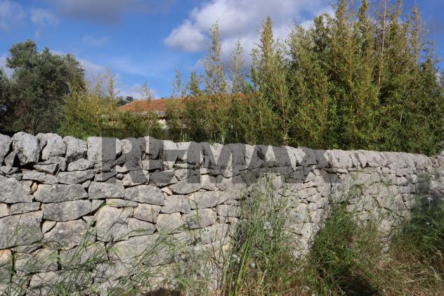 Cascina/Casale in vendita a Ragusa, Marina di Ragusa - Foto 19