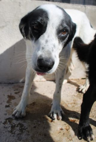 GIANNA E’ RIMASTA SOLA - Foto 2