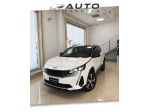 Peugeot 3008 BlueHDi 130 S&S EAT8 GT "Cambio aggiornato"