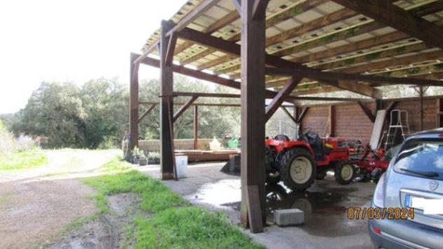 Immobile in asta di 271 m² con più di 5 locali in vendita a Tempio Pausania - Foto 13