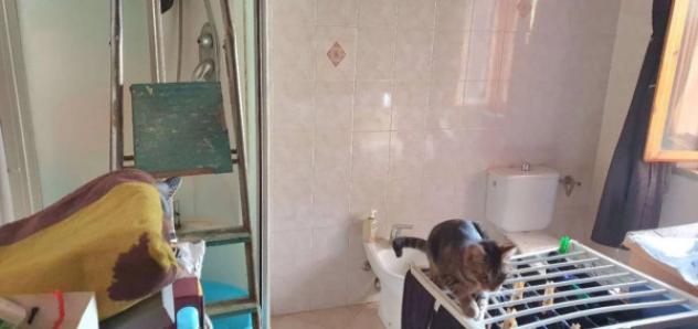 Immobile in asta di 167 m² in vendita a Vicopisano - Foto 6
