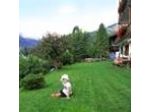 Garni Irma Bed & Breakfast