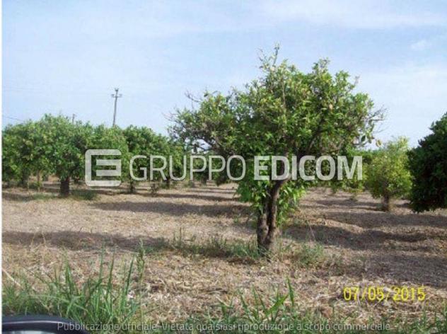Terreno in vendita a Noto - Rif. 4547263 - Foto 2