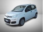 FIAT Panda Panda 1.2 easypower Gpl s&s 69cv