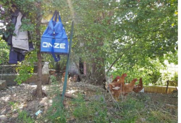 Immobile in asta di 2740 m² in vendita a Marano Principato - Foto 12