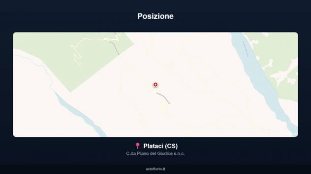 Immobile in asta di 142 m² in vendita a Plataci - Foto 17
