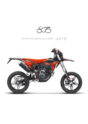 BETAMOTOR RR 125 MOTARD T rif. 23137788