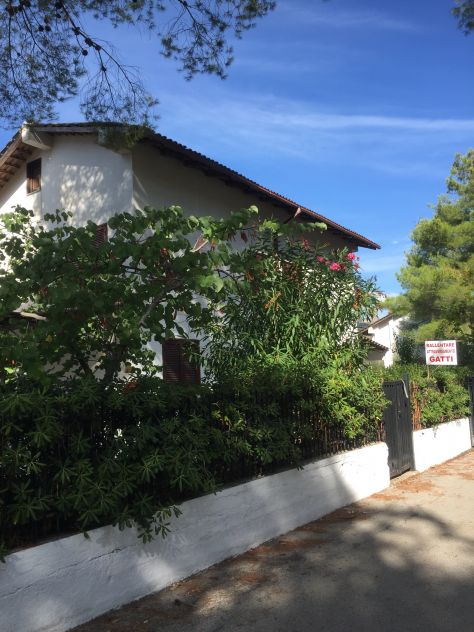Affittasi casa vacanze in Cilento, immersa del verde