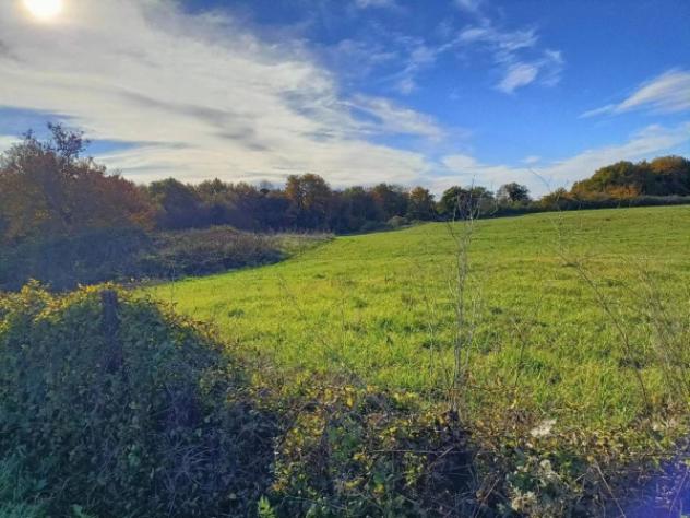 Immobile in asta di 66370 m² in vendita a Canino - Foto 3