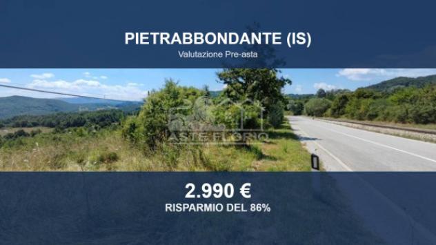 Immobile in asta di 10550 m² in vendita a Pietrabbondante