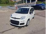 FIAT Pandina 1.0 FireFly 65 CV Hybrid Icon rif. 23423566