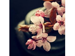 Massaggi - benessere Genova - Massaggi Italiana Tel:3807961051