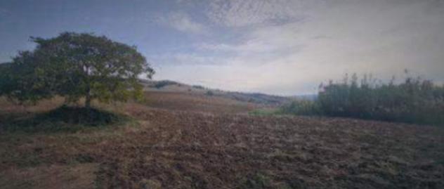Immobile in asta di 324246 m² in vendita a Grottole - Foto 3