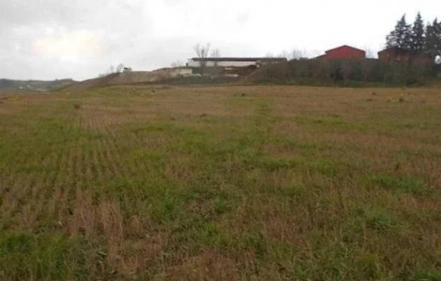 Immobile in asta di 7665 m² in vendita a Montecalvo in Foglia - Foto 11