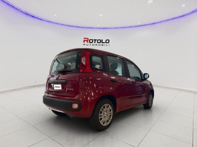 FIAT Pandina Pandina 1.0 FireFly 65 CV Hybrid Icon - Foto 6