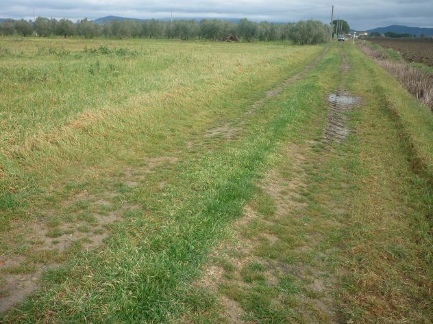 Terreno agricolo alla Rugginosina - GROSSETO- - Foto 5