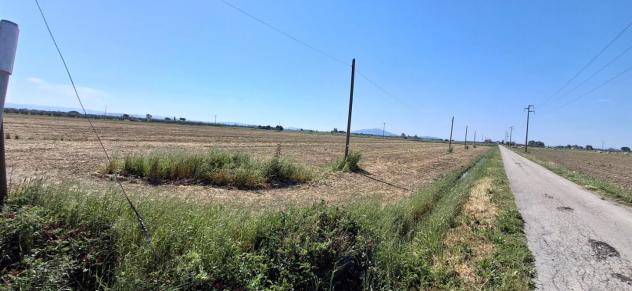 Terreno agricolo in vendita a Grosseto 22000 mq Rif: 1407583 - Foto 3