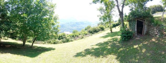 TERRENO AGRICOLO - Foto 5