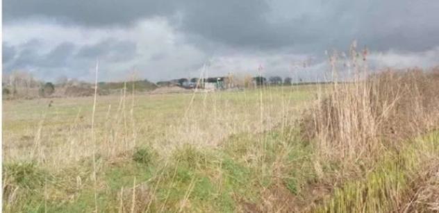 Immobile in asta di 30045 m² in vendita a Viterbo - Foto 7