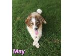 MAY