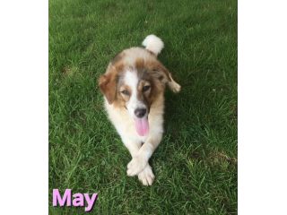 MAY