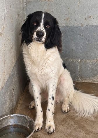 ALDO 5 ANNI