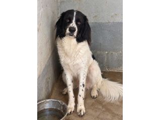 ALDO 5 ANNI