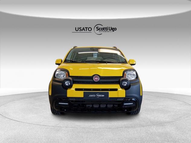 FIAT Pandina III 2024 Cross Cross 1.0 firefly hybrid s&s 65cv - Foto 3