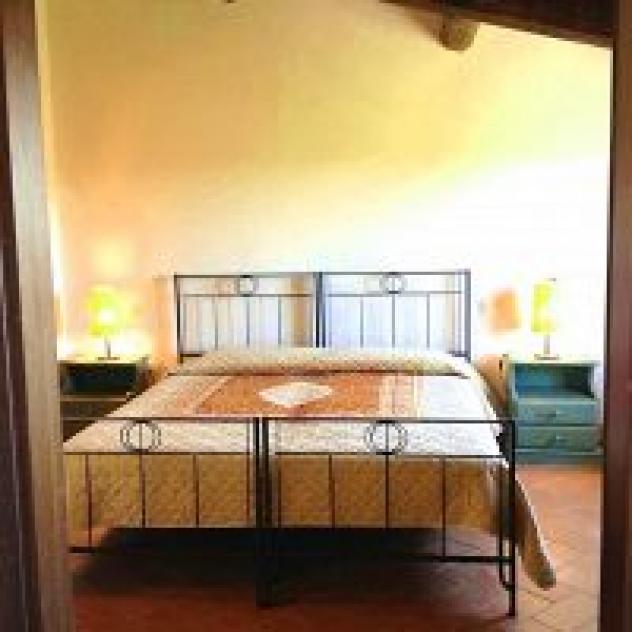 Fattoria Abbazia Monte Oliveto Societa' Agricola a Responsabilita' Limitata O - Foto 3