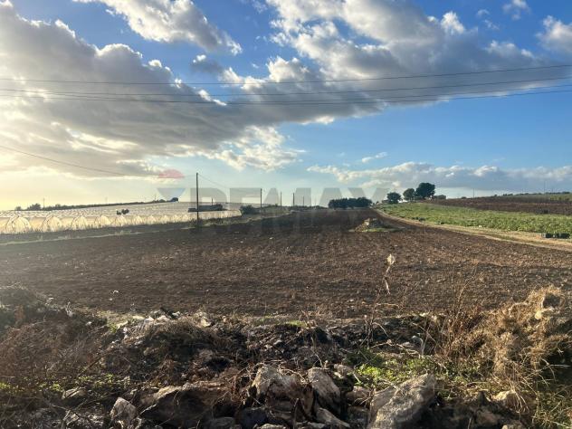 Terreno in vendita a Noto - Foto 5