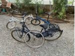 biciclette 1 graziella da una simile e una da donna vendo tutte in lotto