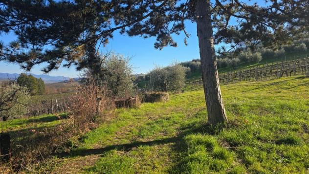 Casale in vendita a Castel Viscardo - Foto 6