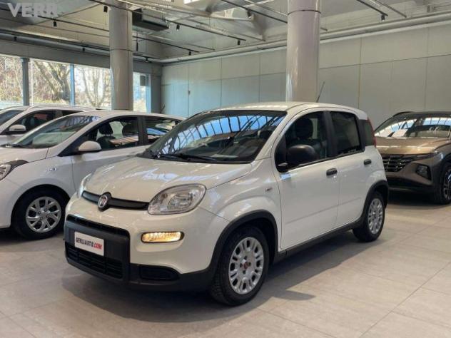 FIAT Panda Panda III 2021 1.0 firefly hybrid s PROMO48 rif. 23373282 - Foto 2
