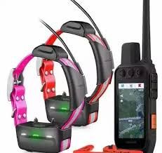 Garmin Alpha 100, 200, 300, palmari/Garmin Astro 64s, 320, 430, 900 e collare