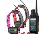 Garmin Alpha 100, 200, 300, palmari/Garmin Astro 64s, 320, 430, 900 e collare