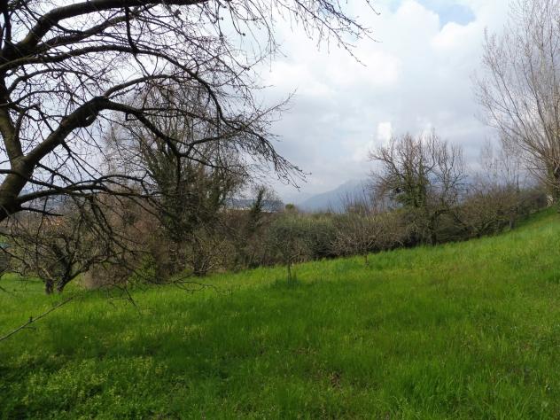 Terreno Agricolo - Fara Vicentino . Rif.: Cod. rif 3314789VCG - Foto 4