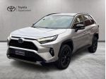 Toyota RAV4 Rav4 2.5 vvt-ie h Style awd-i 222cv e-cvt