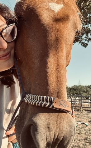 Aiuto gestione animali